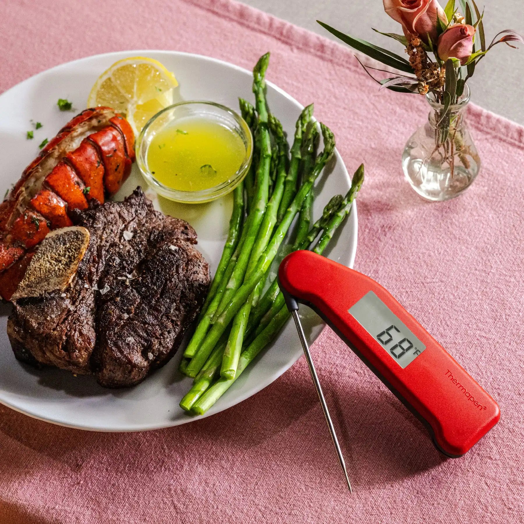 thermoworkswireless.it.com