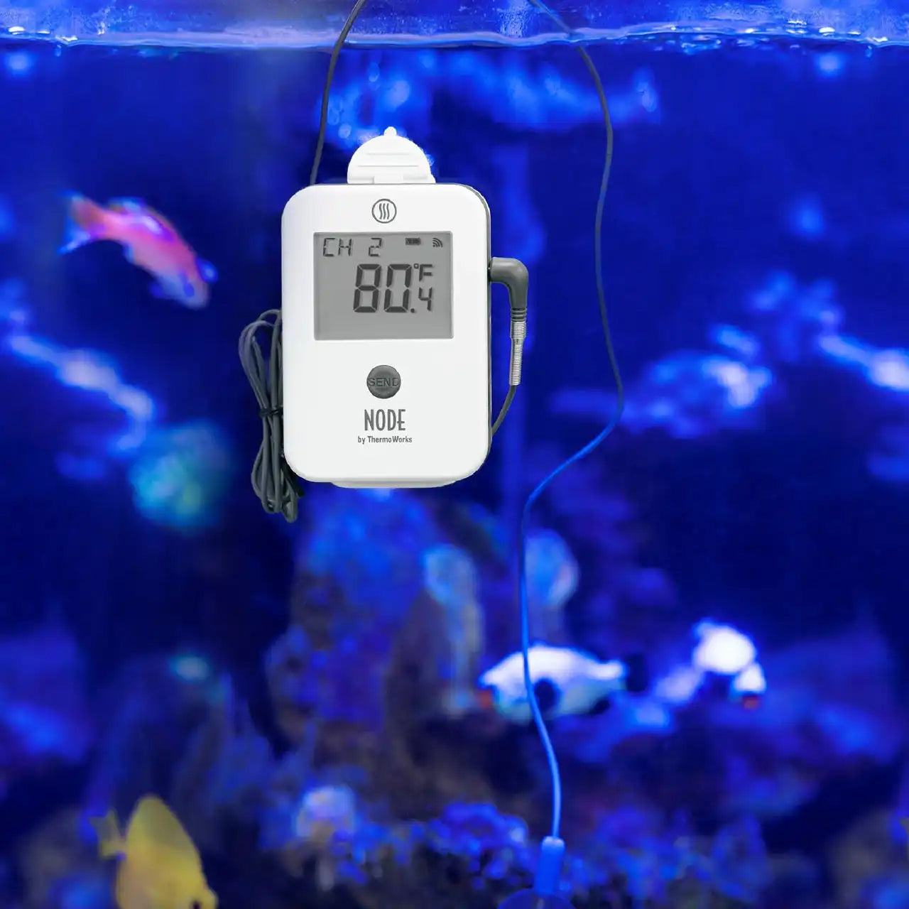 thermoworkswireless.it.com