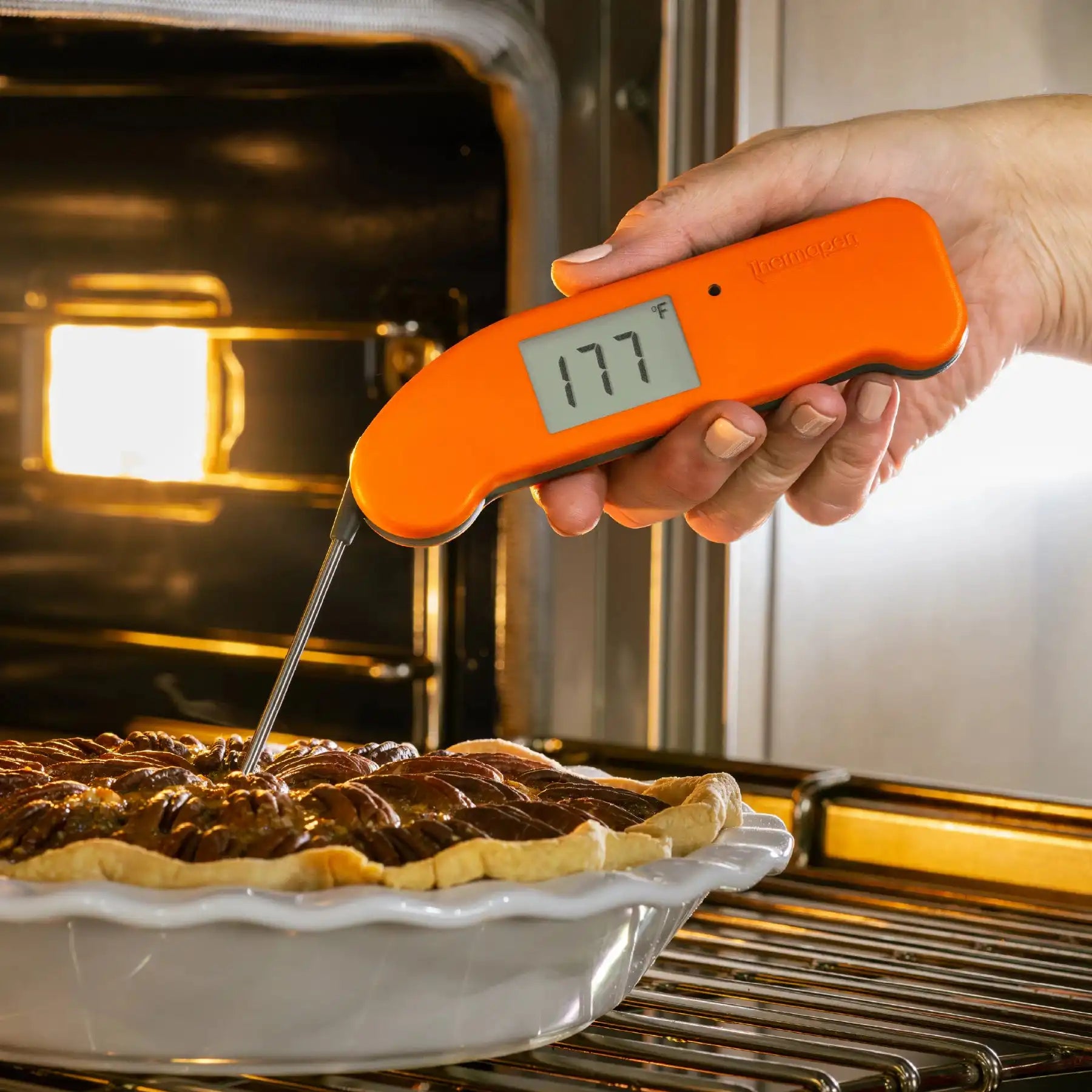 thermoworkswireless.it.com