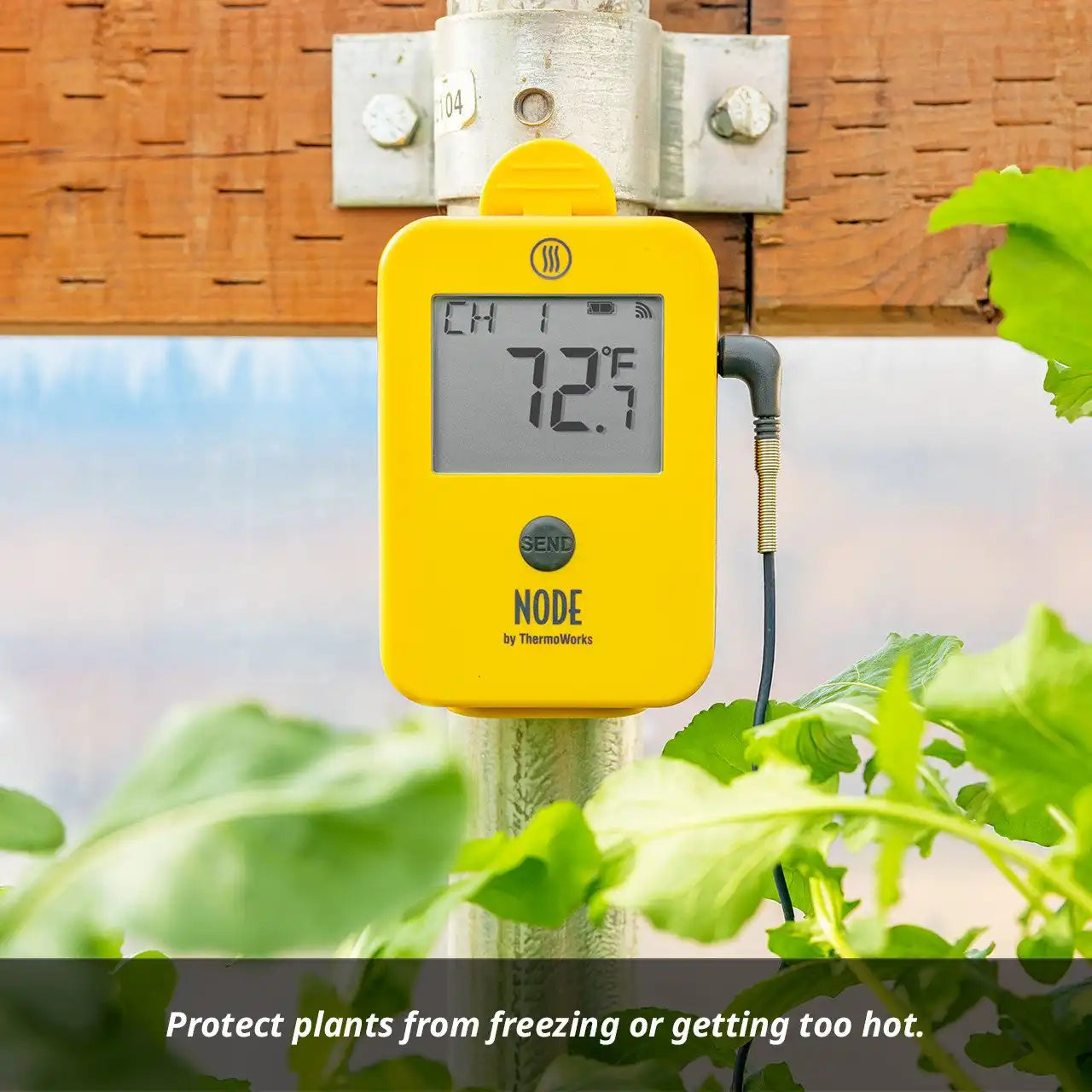thermoworkswireless.it.com