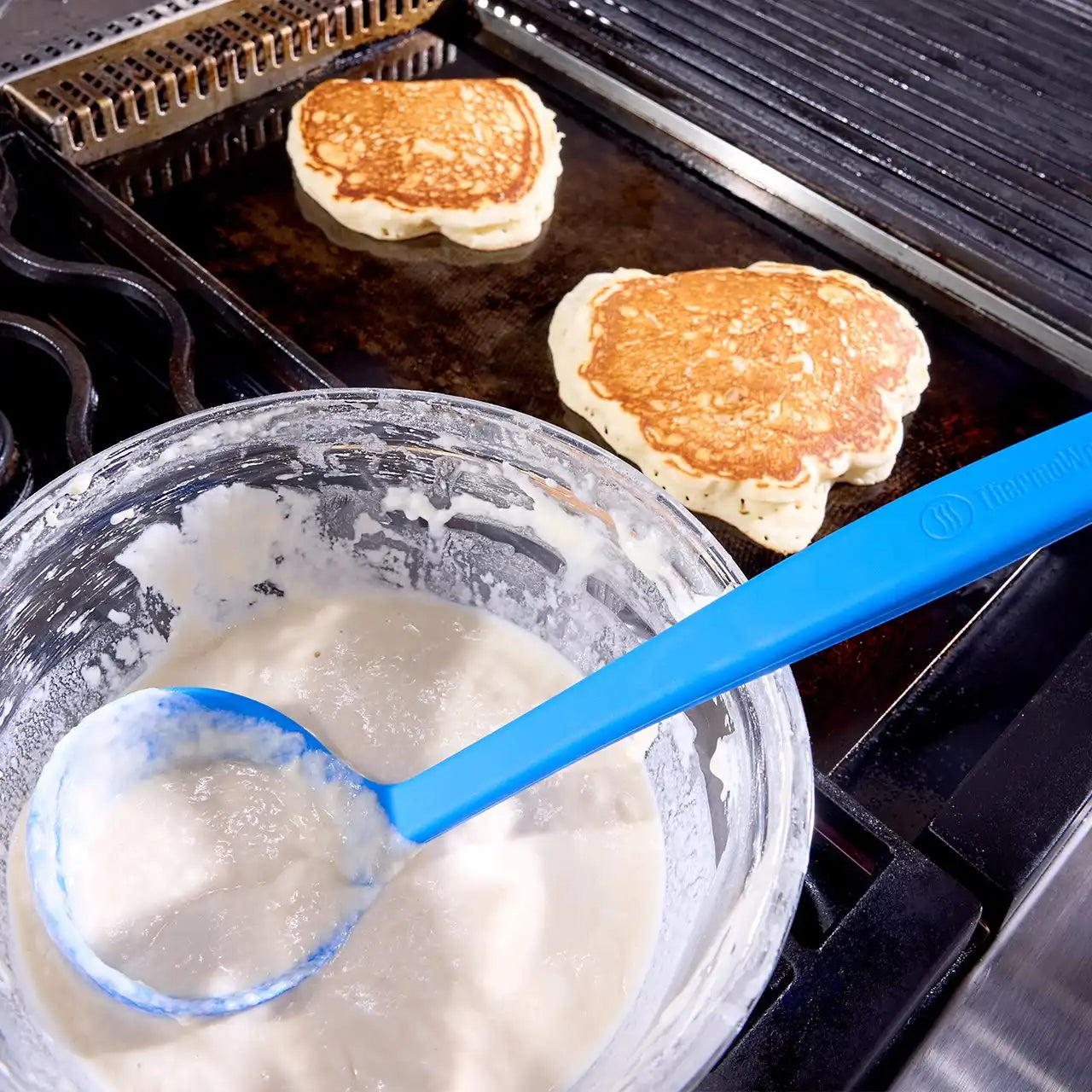 thermoworkswireless.it.com