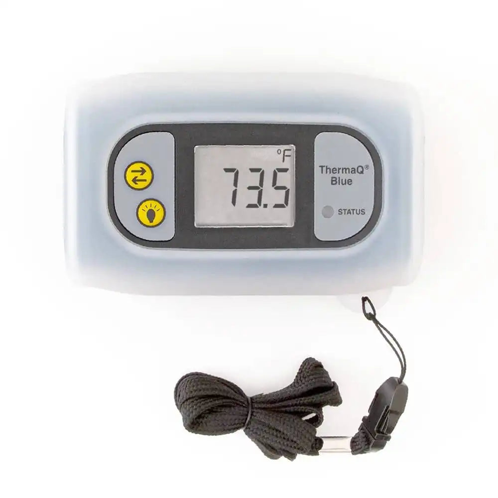 thermoworkswireless.it.com