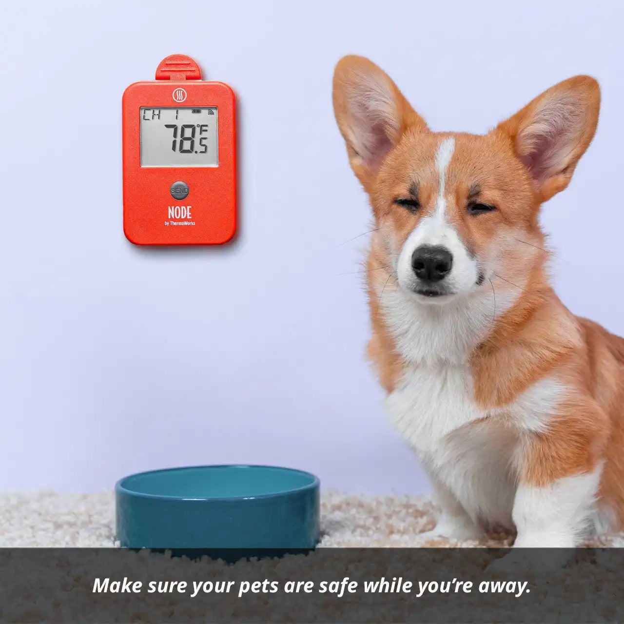 thermoworkswireless.it.com