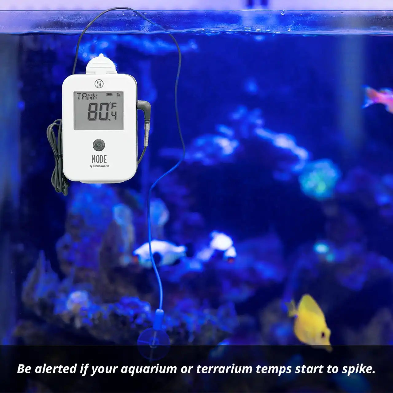 thermoworkswireless.it.com