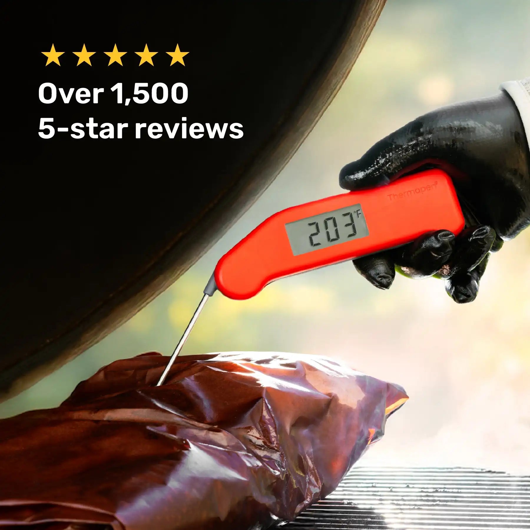 thermoworkswireless.it.com